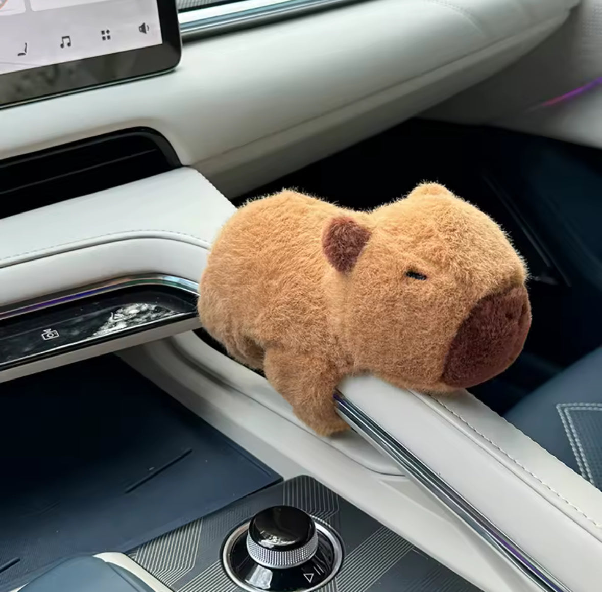 🧸 Copilote Mystère – Découvre ton compagnon de route secret !